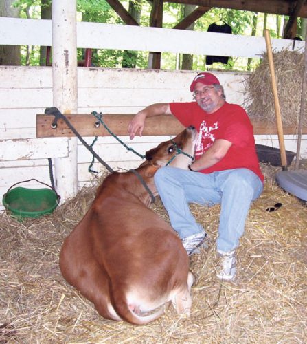 Cow therapy costs a lot of moola
